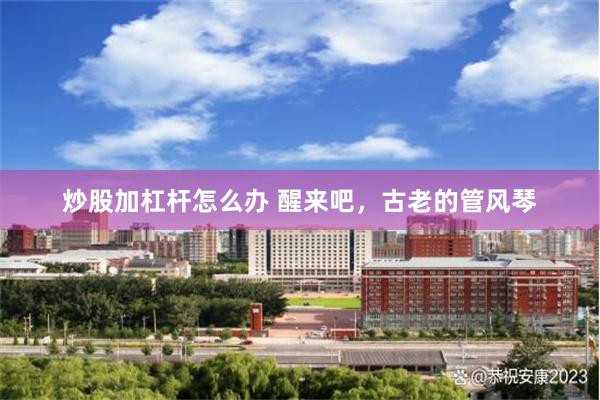 炒股加杠杆怎么办 醒来吧，古老的管风琴