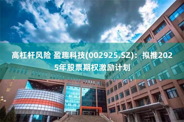 高杠杆风险 盈趣科技(002925.SZ)：拟推2025年股票期权激励计划