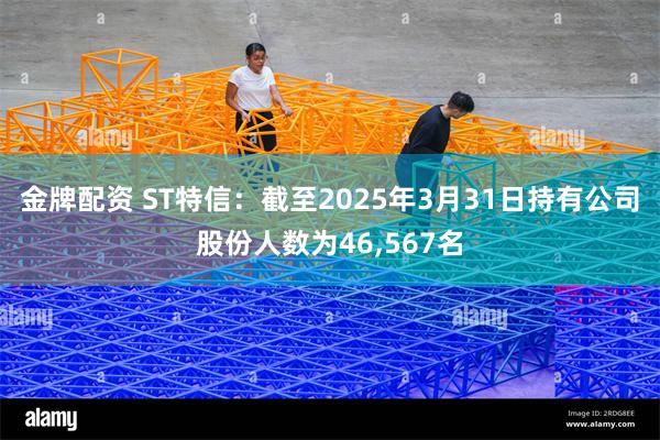 金牌配资 ST特信：截至2025年3月31日持有公司股份人数为46,567名