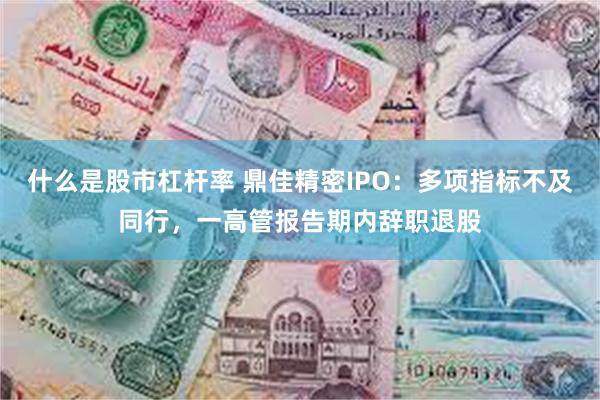 什么是股市杠杆率 鼎佳精密IPO：多项指标不及同行，一高管报告期内辞职退股
