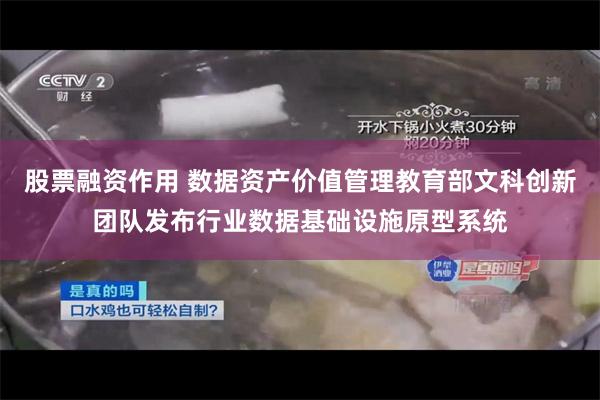 股票融资作用 数据资产价值管理教育部文科创新团队发布行业数据基础设施原型系统