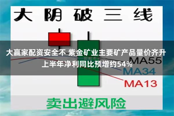 大赢家配资安全不 紫金矿业主要矿产品量价齐升 上半年净利同比预增约54%