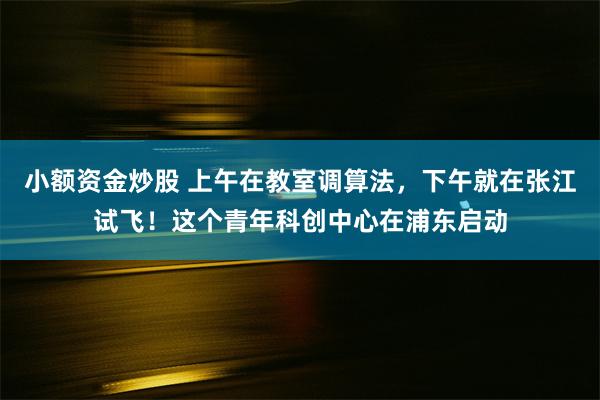 小额资金炒股 上午在教室调算法，下午就在张江试飞！这个青年科创中心在浦东启动