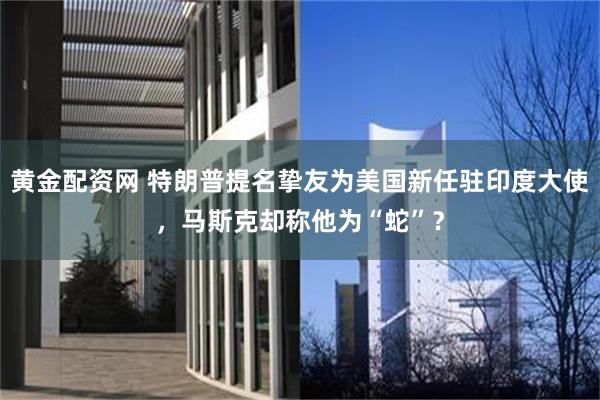 黄金配资网 特朗普提名挚友为美国新任驻印度大使，马斯克却称他为“蛇”？